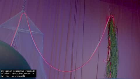 Snapshot of succubus_rosemilk chatting on January 27, 2:53 am Succubus RoseMilk online show from January 27, 2:53 am