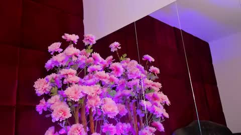 Sugar online show from September 26, 5:11 am