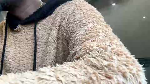 Snapshot of sugarcockydaa chatting on January 22, 10:29 am sugarcockydaa online show from January 22, 10:29 am