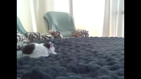 suni online show from March 10, 11:42 am