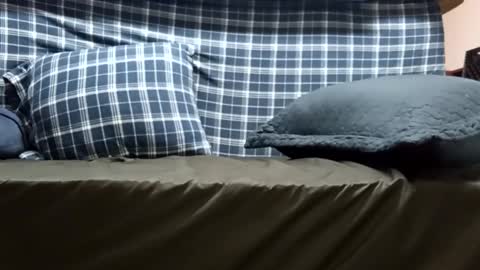 Super dave88 online show from September 28, 10:53 am