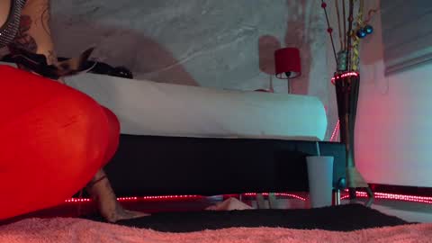    online show from December 17, 10:54 pm