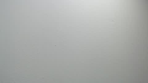 Snapshot of sussy_leon chatting on February 11, 12:05 pm sussy leon online show from February 11, 12:05 pm