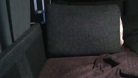 Snapshot of swartarn chatting on December 16, 5:17 am ArnSwart online show from December 16, 5:17 am