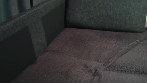 Snapshot of swartarn chatting on December 21, 6:30 am ArnSwart online show from December 21, 6:30 am