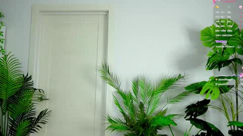 Alice online show from October 3, 3:31 pm