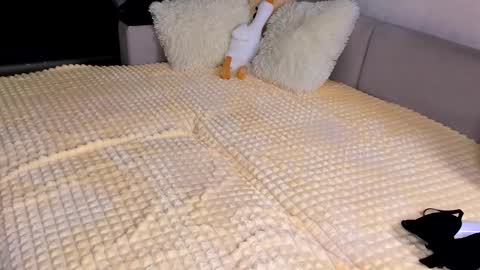 Alice online show from November 15, 3:52 pm