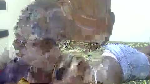 Sharon online show from September 13, 11:43 am