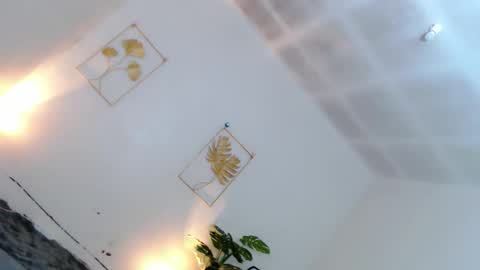 May online show from December 1, 6:13 pm