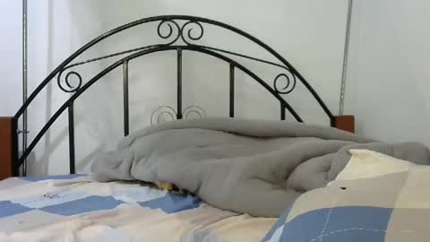 sweetvalariy online show from January 24, 11:59 am