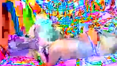 Sweetyummygirl online show from September 22, 8:33 pm