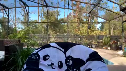 Snapshot of syndica chatting on February 1, 8:05 pm Jennah online show from February 1, 8:05 pm