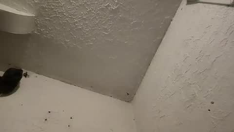 Talen James online show from March 11, 1:26 am