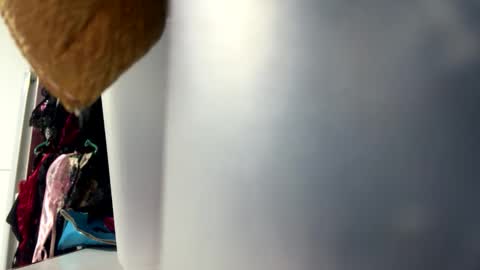 tali  online show from October 25, 6:35 pm