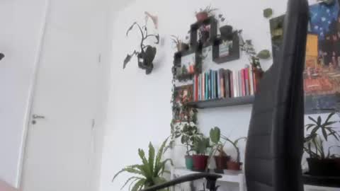 Tali Majid online show from November 26, 11:44 am