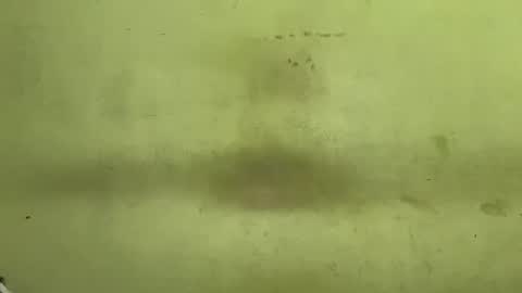 Tanya online show from November 23, 4:45 am