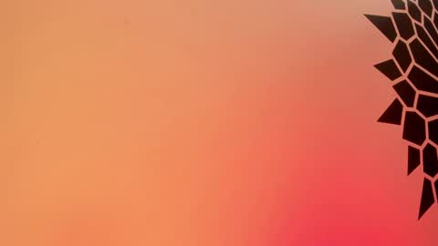 Tamara. online show from February 25, 3:49 pm