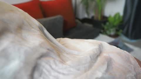 Snapshot of tasty_tomato chatting on February 21, 8:40 am RHEA pronanciation like Reya online show from February 21, 8:40 am