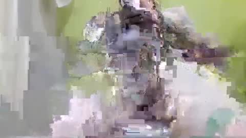 tattoo3333 online show from September 14, 2:38 pm