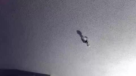 Snapshot of technosex14 chatting on November 20, 3:28 am technosex14 online show from November 20, 3:28 am