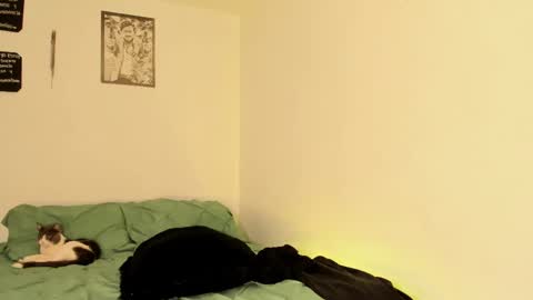 Snapshot of teo_369 chatting on September 13, 2:50 pm Teo online show from September 13, 2:50 pm