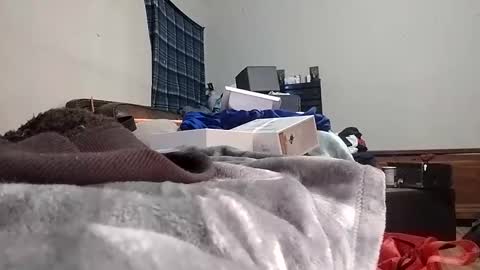 TexasDick online show from January 24, 7:30 am