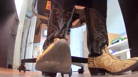 thecowboy_74 online show from November 19, 4:07 pm