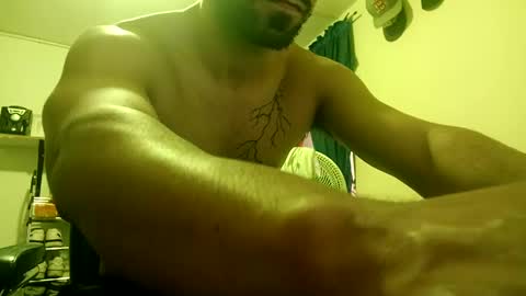 thehousedog online show from February 19, 6:32 pm