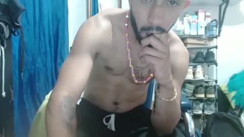 thehousedog online show from February 27, 5:04 pm