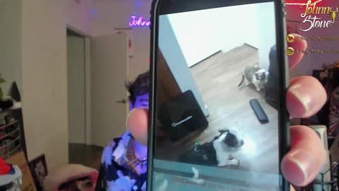 Snapshot of thejohnnystone chatting on December 29, 1:13 am Johnny Stone online show from December 29, 1:13 am