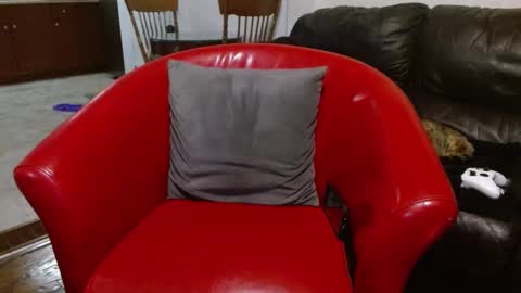 thekodyy online show from January 24, 9:05 pm