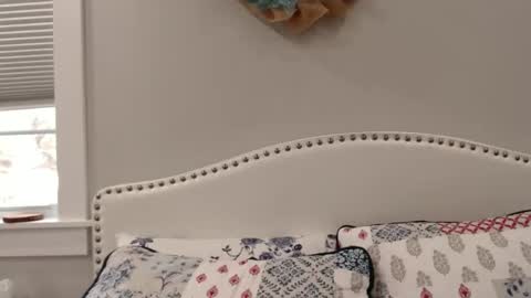 Lacey online show from December 1, 6:19 pm