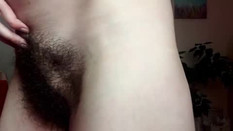 Snapshot of thickforest chatting on February 15, 3:50 pm MilkyChoco online show from February 15, 3:50 pm