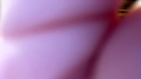 throatgoat2210 online show from December 1, 1:05 pm