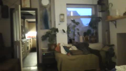 Snapshot of tiddles12345 chatting on October 18, 6:26 am tiddles12345 online show from October 18, 6:26 am