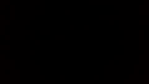 tiff online show from December 19, 12:02 am