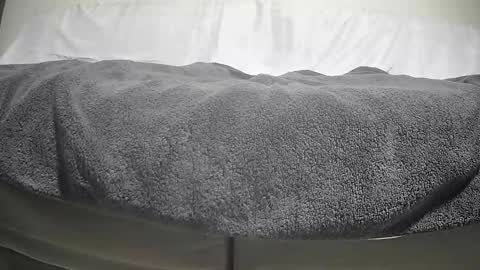 Casey online show from September 29, 4:12 pm