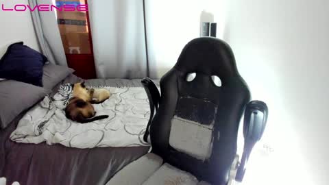 Tina online show from December 12, 9:26 pm