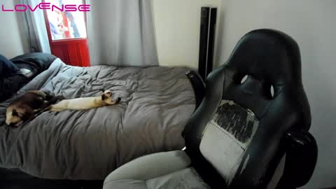 Tina online show from January 22, 7:45 pm