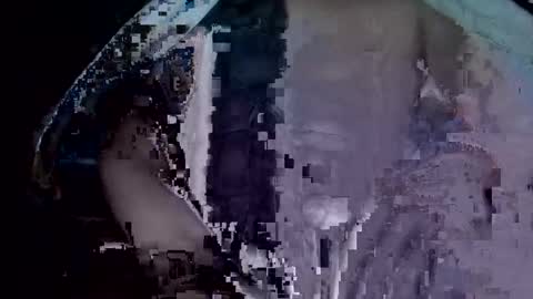 Snapshot of tjay30529 chatting on November 25, 8:14 am tjay30529 online show from November 25, 8:14 am