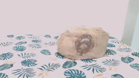 David online show from February 9, 7:16 am