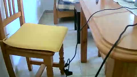 Tobiko online show from December 31, 12:25 pm