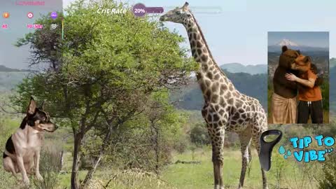 Tomaz62a online show from October 30, 8:42 pm