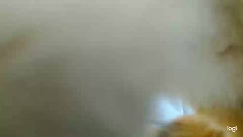 Blue online show from February 24, 3:42 pm