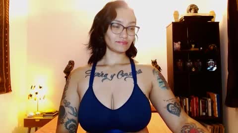 toothyy online show from February 1, 12:51 am