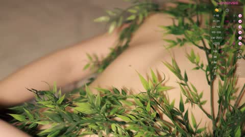 Toshi online show from February 9, 1:03 pm