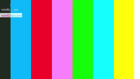 Snapshot of totally_spy chatting on March 3, 6:55 pm Madam Viktoria Vacation in Portugal 2811 - 0412 online show from March 3, 6:55 pm