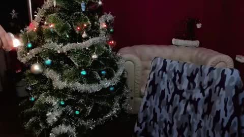   online show from December 28, 8:05 am