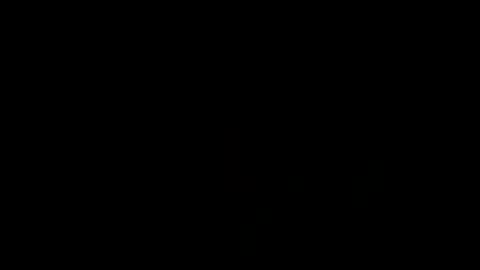 Thorcci online show from January 21, 7:47 am