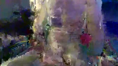 Snapshot of trevorreinson chatting on November 18, 1:37 pm Trevor Reinson online show from November 18, 1:37 pm